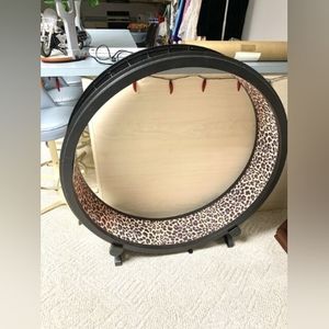 Excercise wheel for a cat